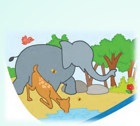 banner-img