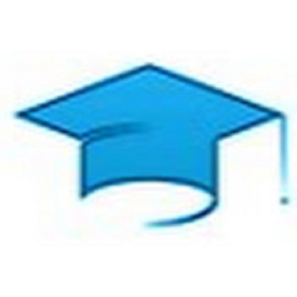 partner-school